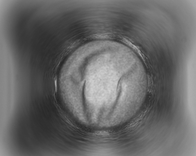 X0000095930061200802081225