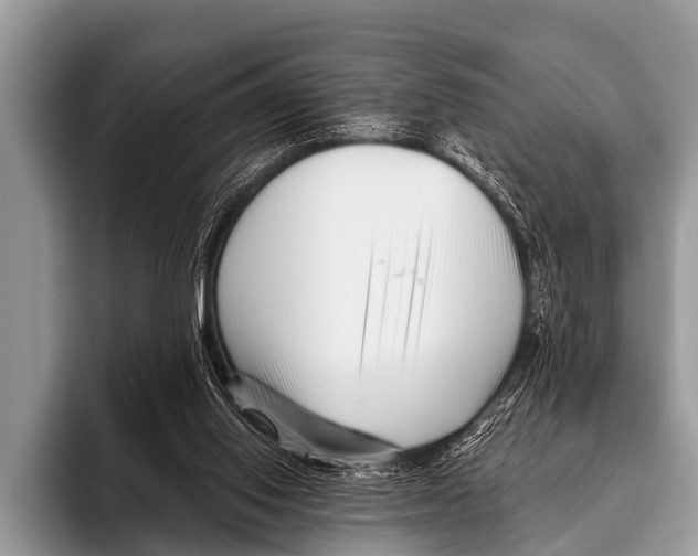 X0000095930062200802081225