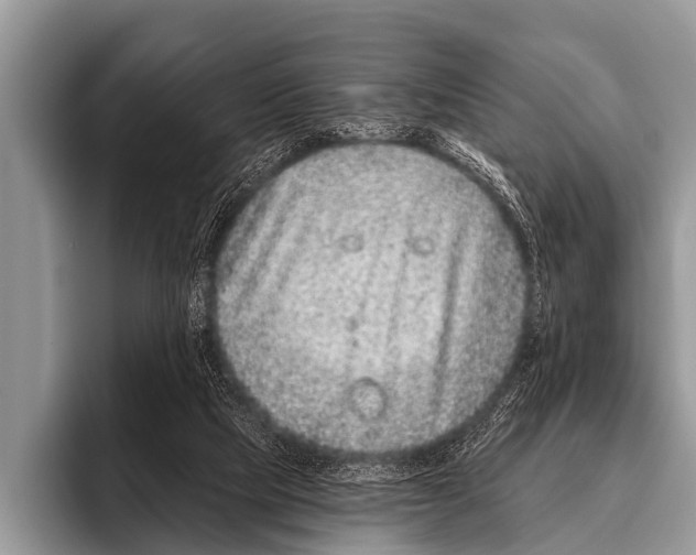 X0000095930065200802081225