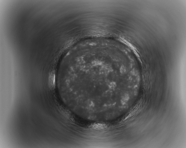 X0000095930067200802081225