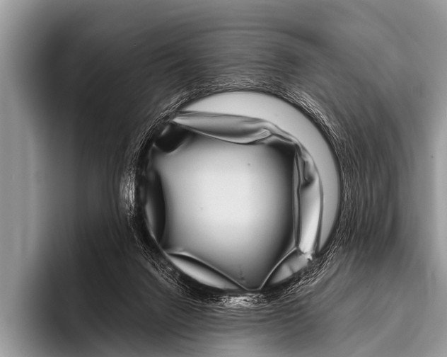 X0000095930072200802081225