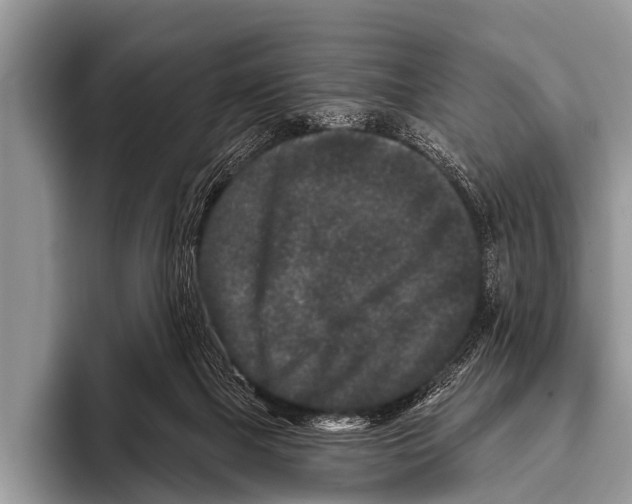 X0000095930073200802081225