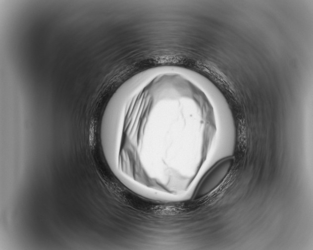 X0000095930074200802081225