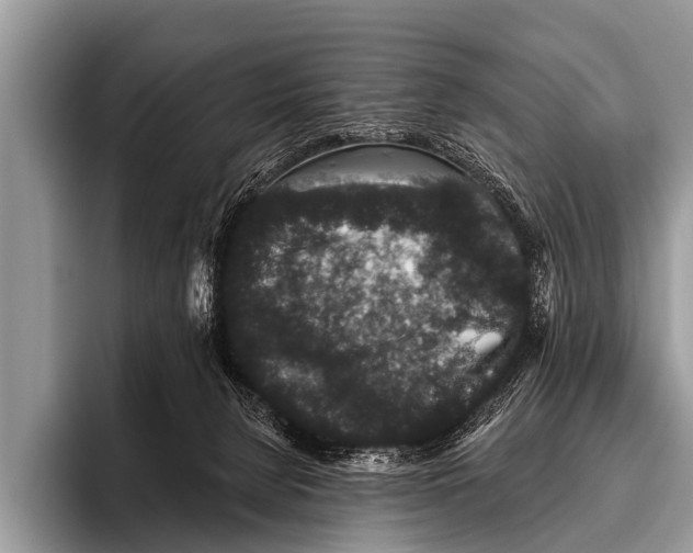 X0000095930080200802081225