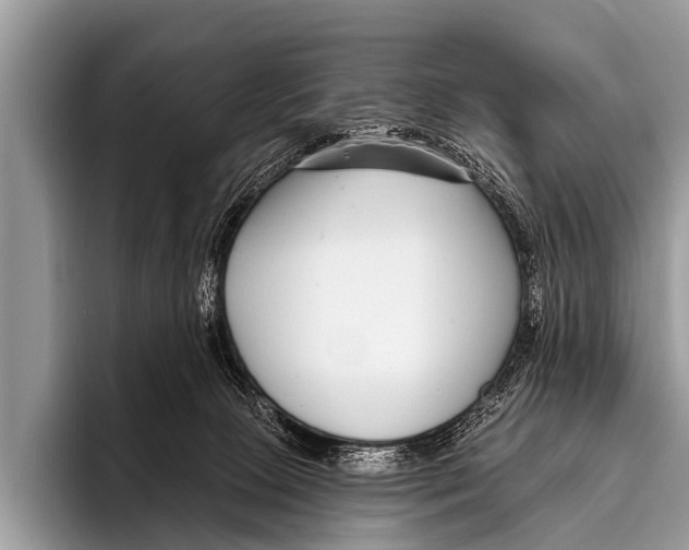 X0000095930081200802081225