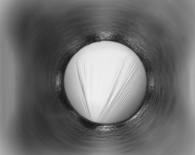 X0000095930082200802081225