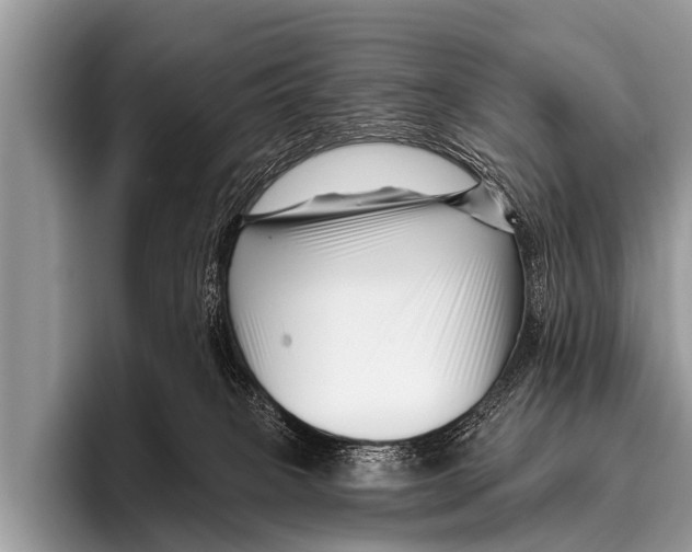 X0000095930085200802081225