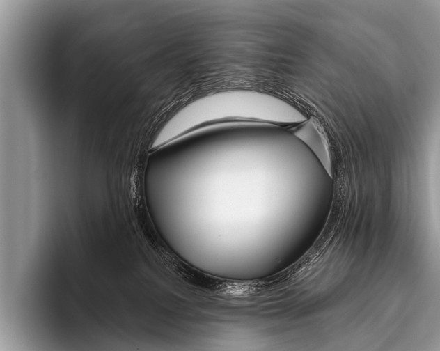 X0000095930088200802081225