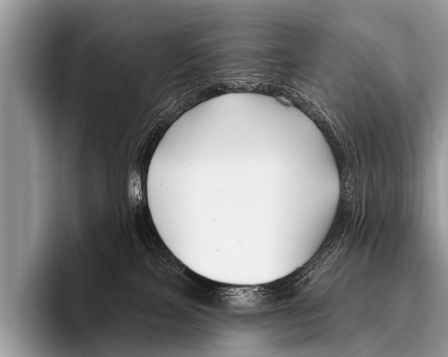 X0000095930089200802081225
