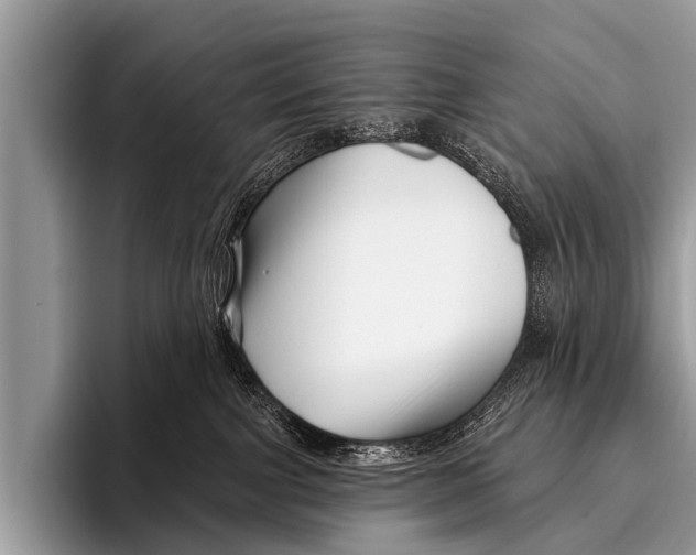 X0000095930091200802081225