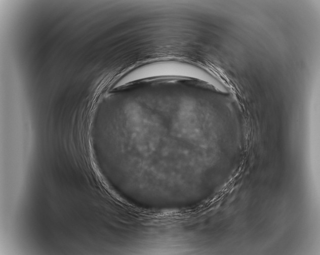 X0000095930097200802081225