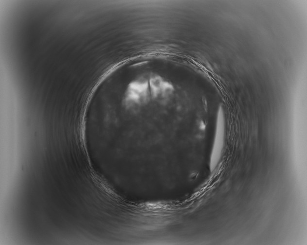 X0000095930100200802081225