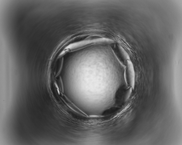X0000095930101200802081225