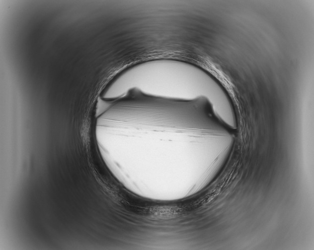 X0000095930107200802081225