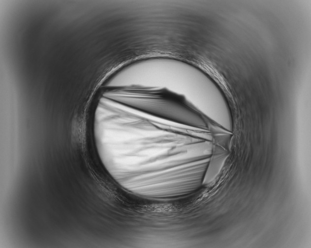 X0000095930108200802081225