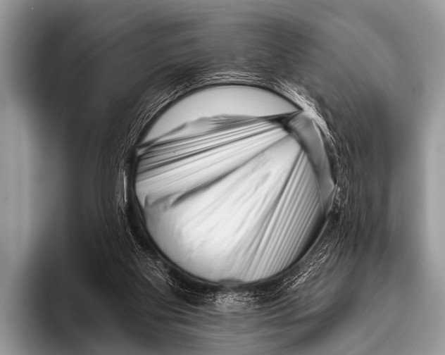 X0000095930109200802081225