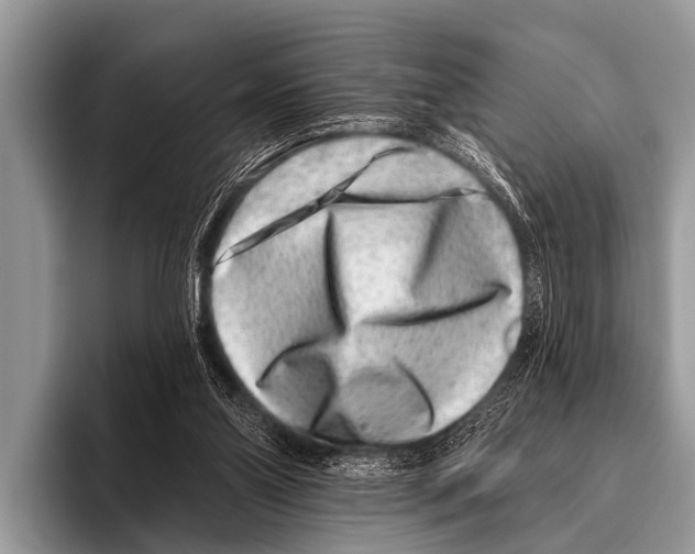 X0000095930110200802081225