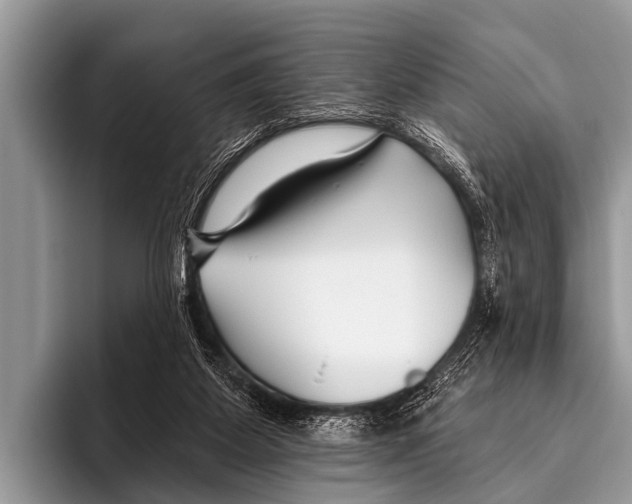 X0000095930115200802081225