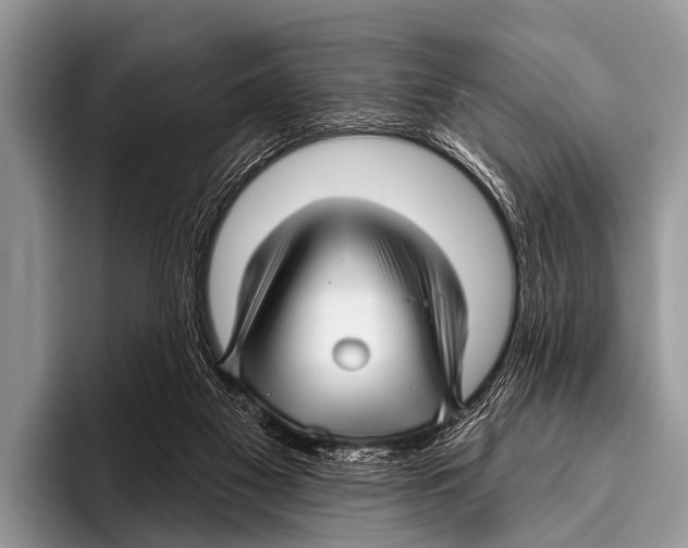 X0000095930117200802081225
