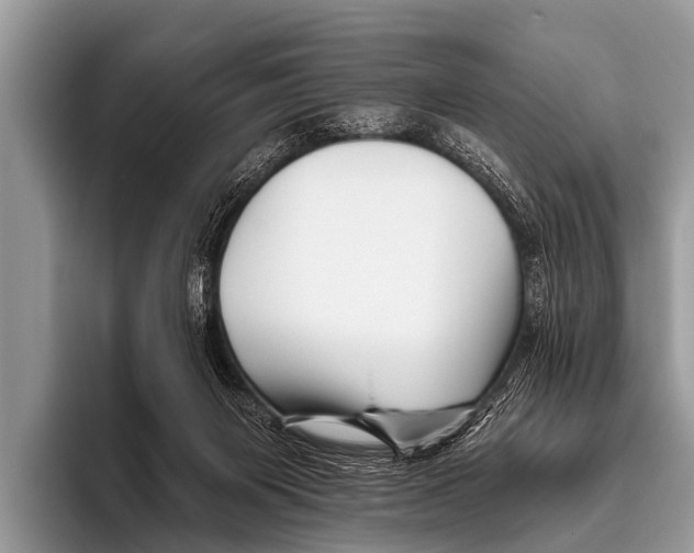 X0000095930119200802081225