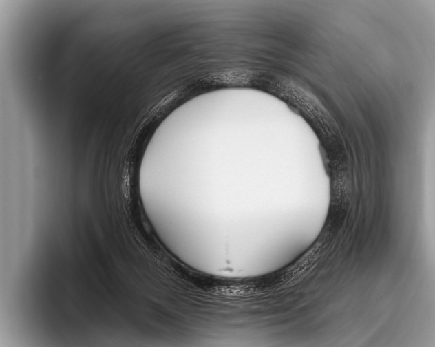 X0000095930120200802081225