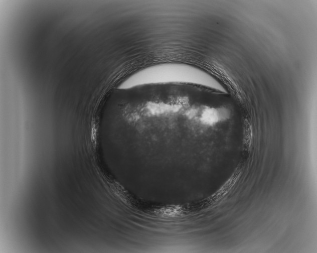 X0000095930124200802081225