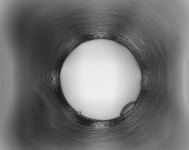 X0000095930126200802081224