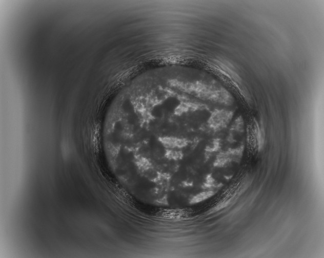 X0000095930127200802081224