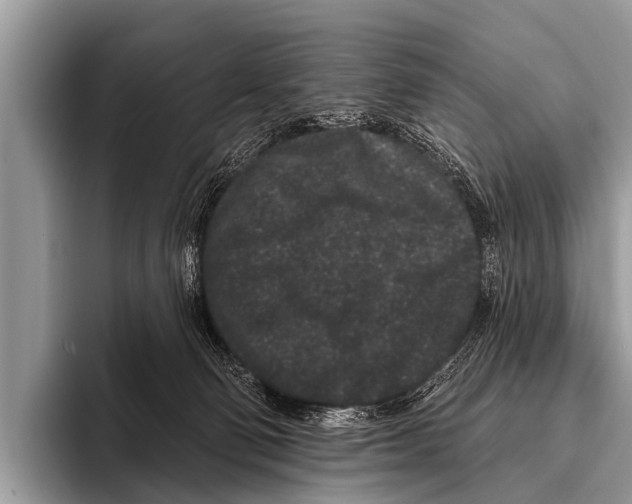 X0000095930130200802081224