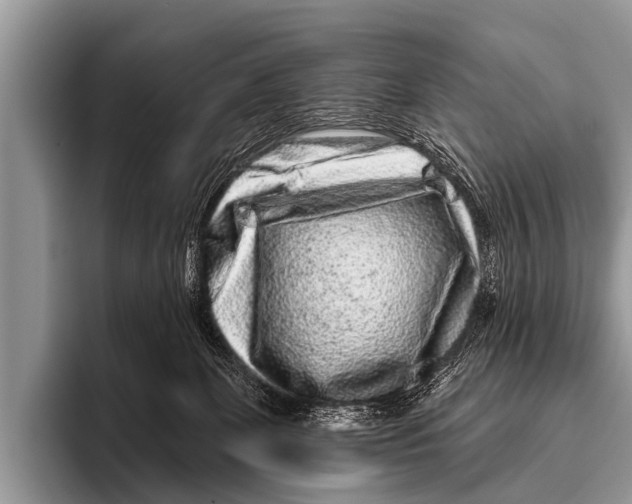 X0000095930131200802081224