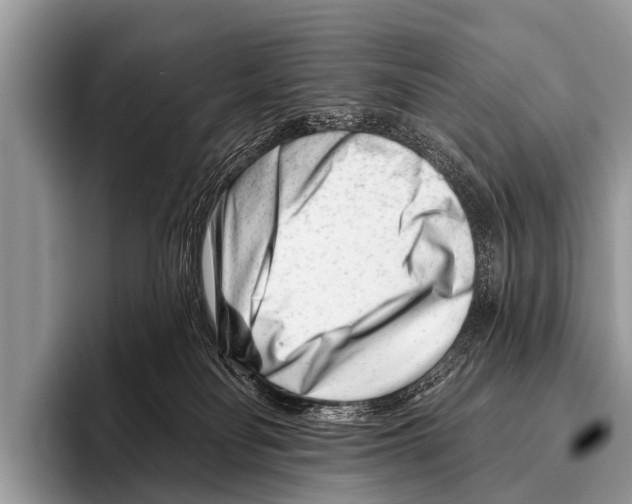 X0000095930134200802081224