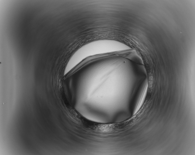 X0000095930136200802081224