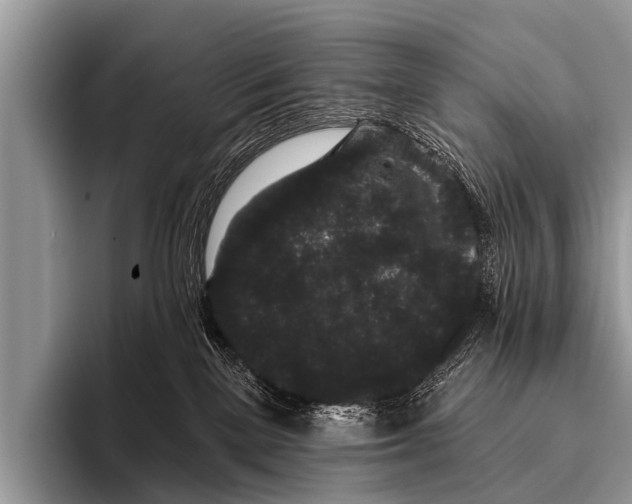 X0000095930137200802081224