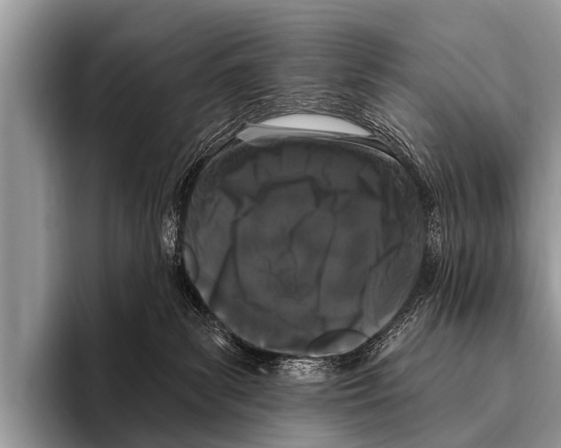 X0000095930139200802081224