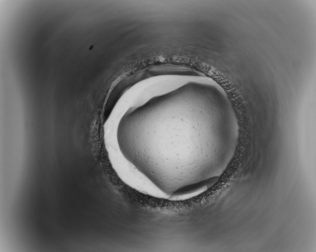 X0000095930144200802081224