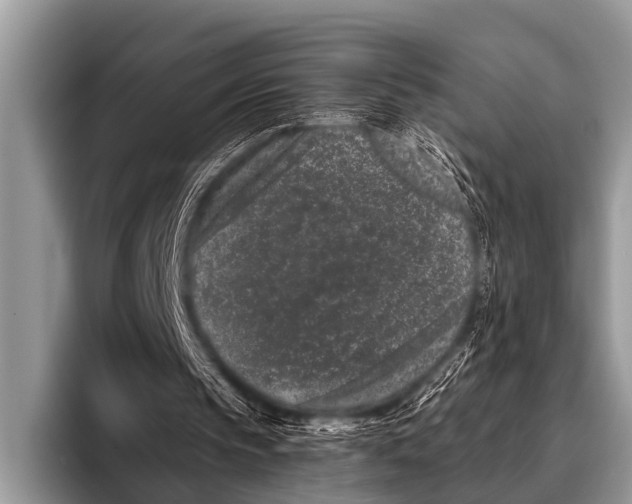 X0000095930145200802081224