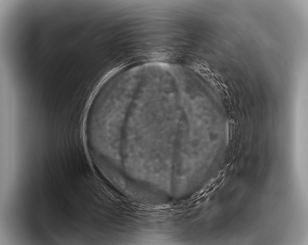 X0000095930147200802081224