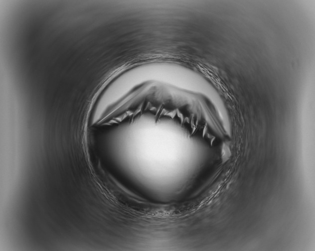 X0000095930148200802081224