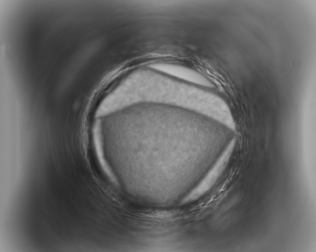 X0000095930149200802081224