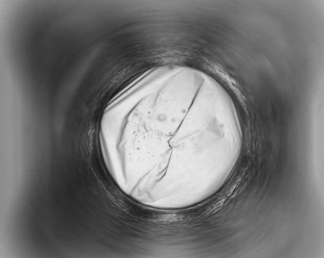 X0000095930153200802081224