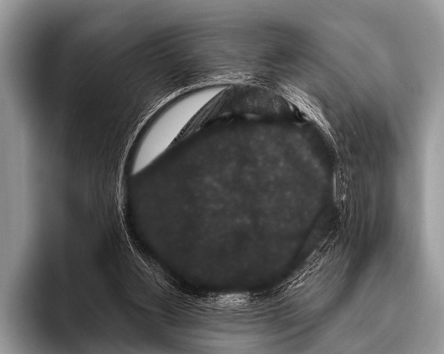 X0000095930156200802081224