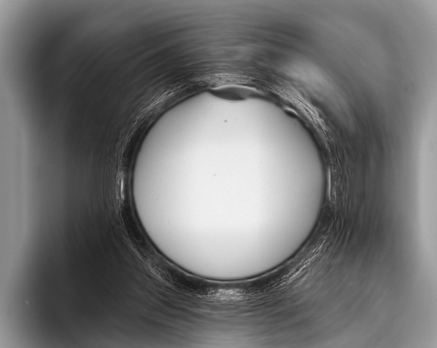 X0000095930157200802081224
