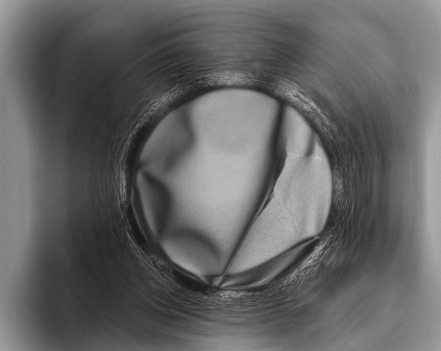 X0000095930158200802081224