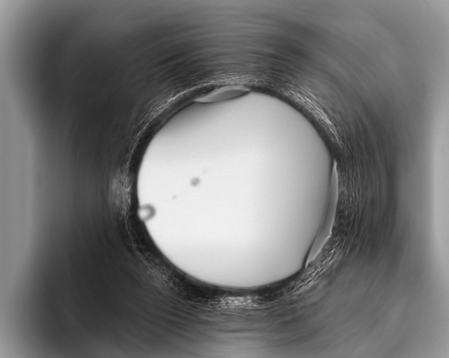 X0000095930160200802081224