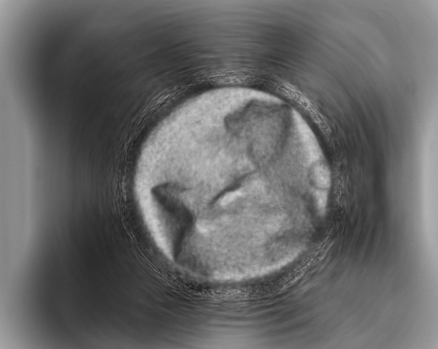 X0000095930161200802081224