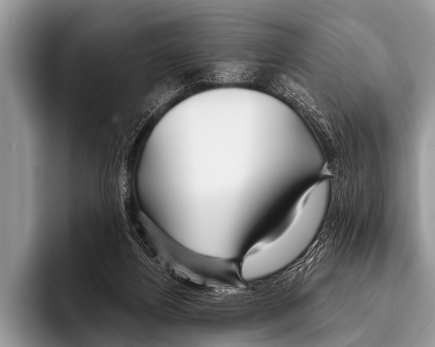 X0000095930164200802081224