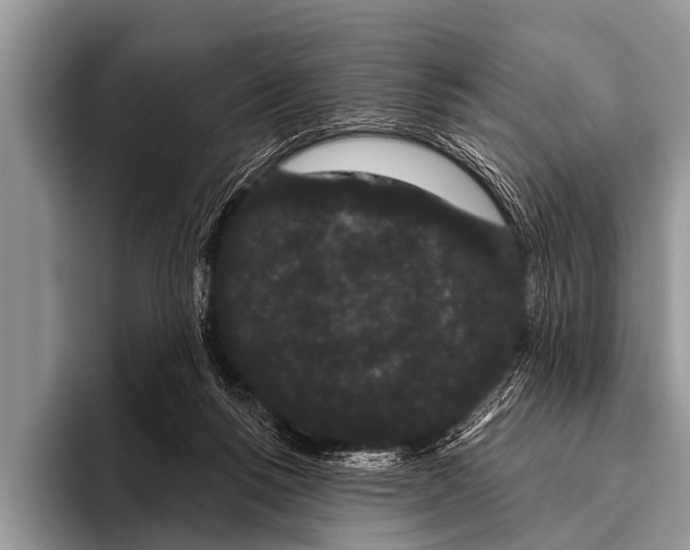 X0000095930168200802081224