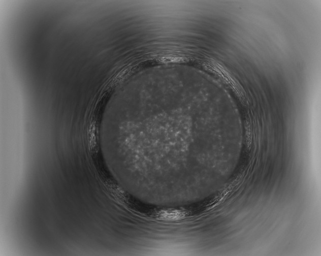 X0000095930169200802081224