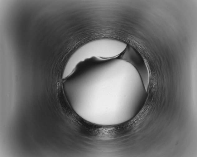 X0000095930172200802081224