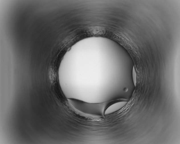 X0000095930176200802081224